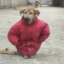 гойда