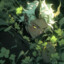Loki