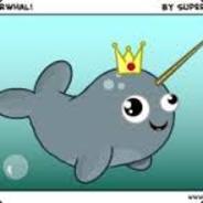 The Last Narwhal