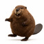 WobblyBeaver