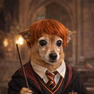 Xonar - steam id 76561198295673416