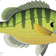 折磨我们的敌人