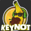 KEYNOT | CSGO