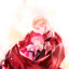 Markisss+'s avatar