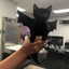 BatGato420