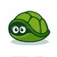 Am Turtle