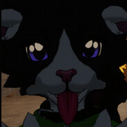 RaccoonInterpreter75