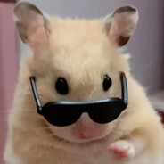 无敌菜菜子是也