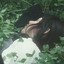Alex G