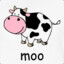 Moo Cow