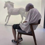 你不会没朋友才玩Apex吧