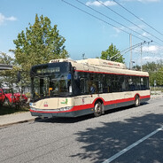 Šotouš z Ježkova🦔