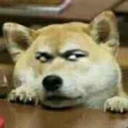 吗个 b 骂我全部反弹