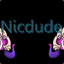 Nicdude777