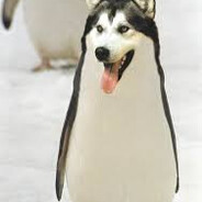 xoly - steam id 76561199465836089