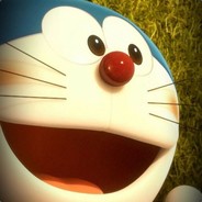 53794957