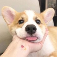 ww网恋被骗一桶煤