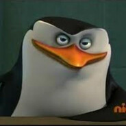 Bot Bob