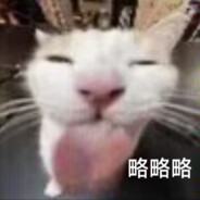 约本土鸡队-略略略