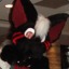 Derin_Darkpaw