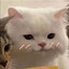 botan