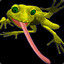 TZL1Frog