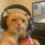 nephxd