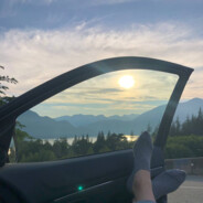 Avatar falconifreedom