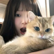 小馋猫OvO