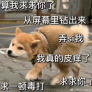 姑苏城外盼伊人