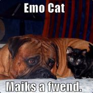 Fudder Mucker - steam id 76561197960406978