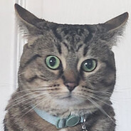 ㋡i̶s̶o̶l̶a̶t̶e̶㋡