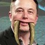 Elon Tusk