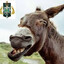 MARTOFF EL BURRO ARCONTE
