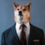 Mr. Dogich