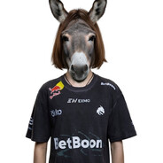 DONKEY