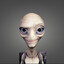 Mr.Bob