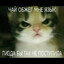 скатина || ktgd ||
