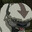 Appa