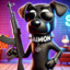 DoogSimon(BD)