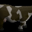 Cowslayer415