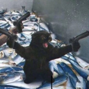 喜欢不带纸干拉