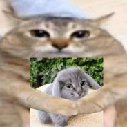 Колбас Даниленко