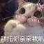 扫黄大队突破手