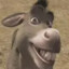 Donk666CSGOSKINS