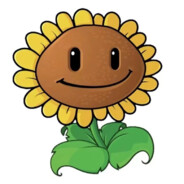 爱笑的向日葵