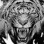 _-King-_-Tiger-_