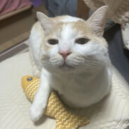 玩些有心跳的吧呜呜呜