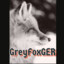 GreyFoxGER