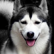 我的健康码是黄色